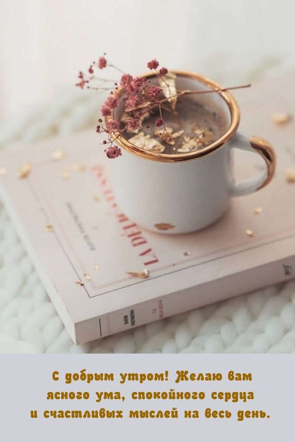 С добрым утром! Желаю вам ясного ума