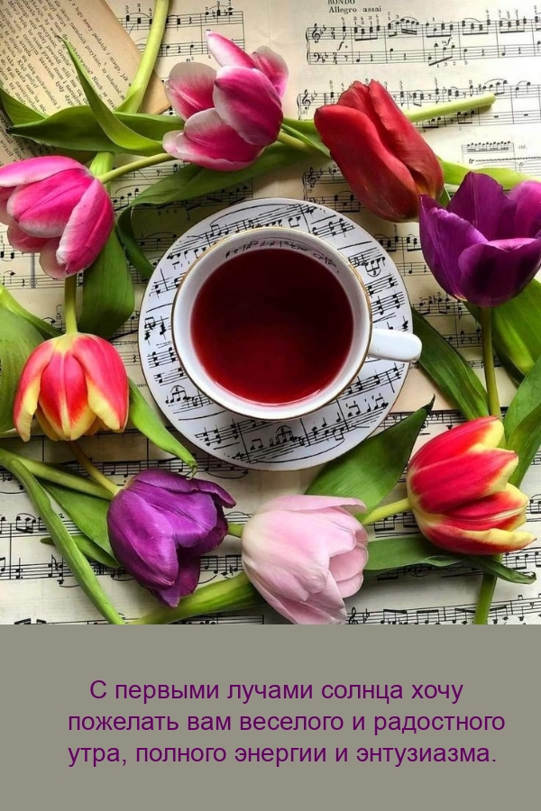 С первыми лучами солнца хочу пожелать вам веселого утра