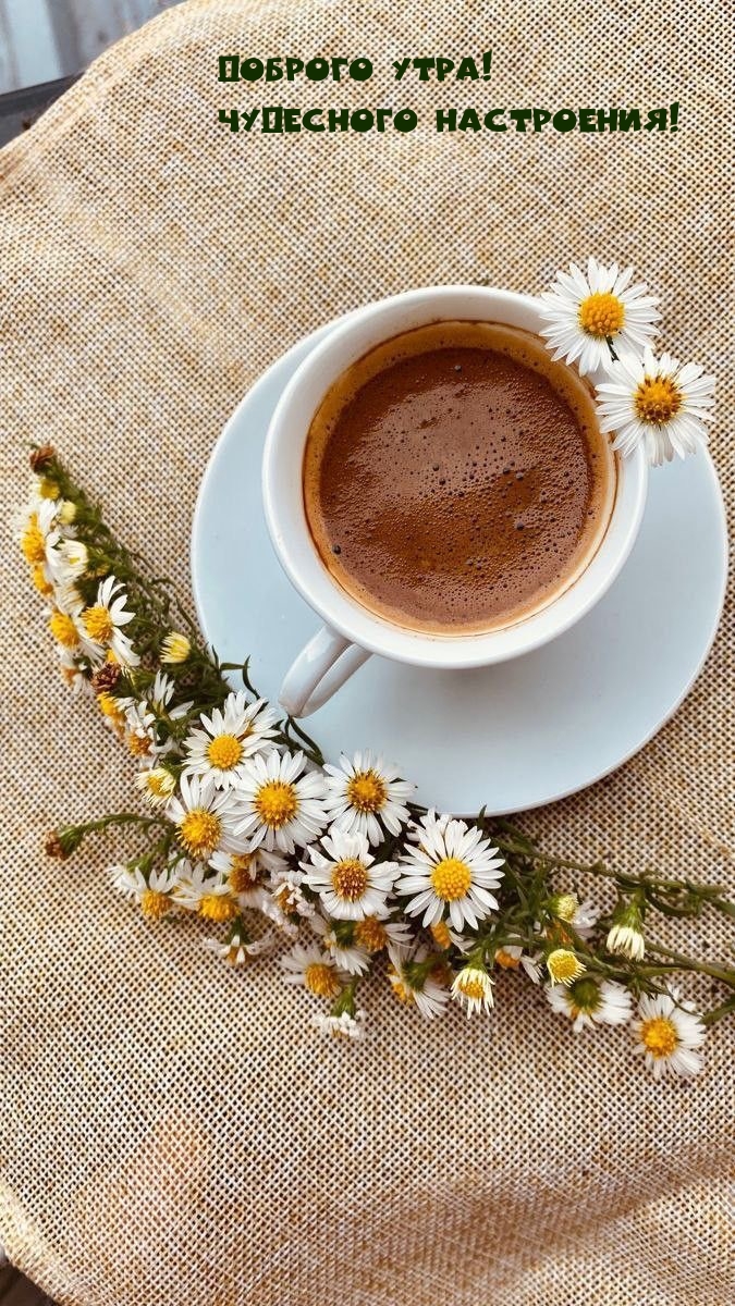 Доброго утра! Чудесного настроения!