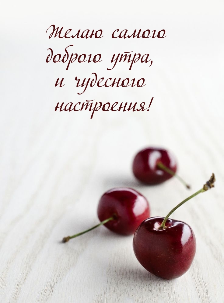 Желаю самого доброго утра, и чудесного настроения!