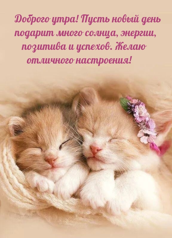 Доброго утра! Пусть новый день подарит много солнца, энергии