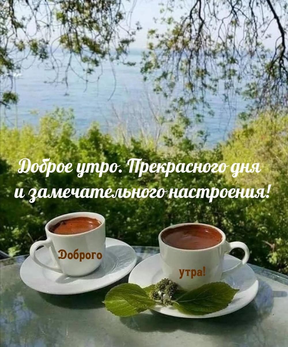 Доброе утро. Прекрасного дня и замечательного настроения!