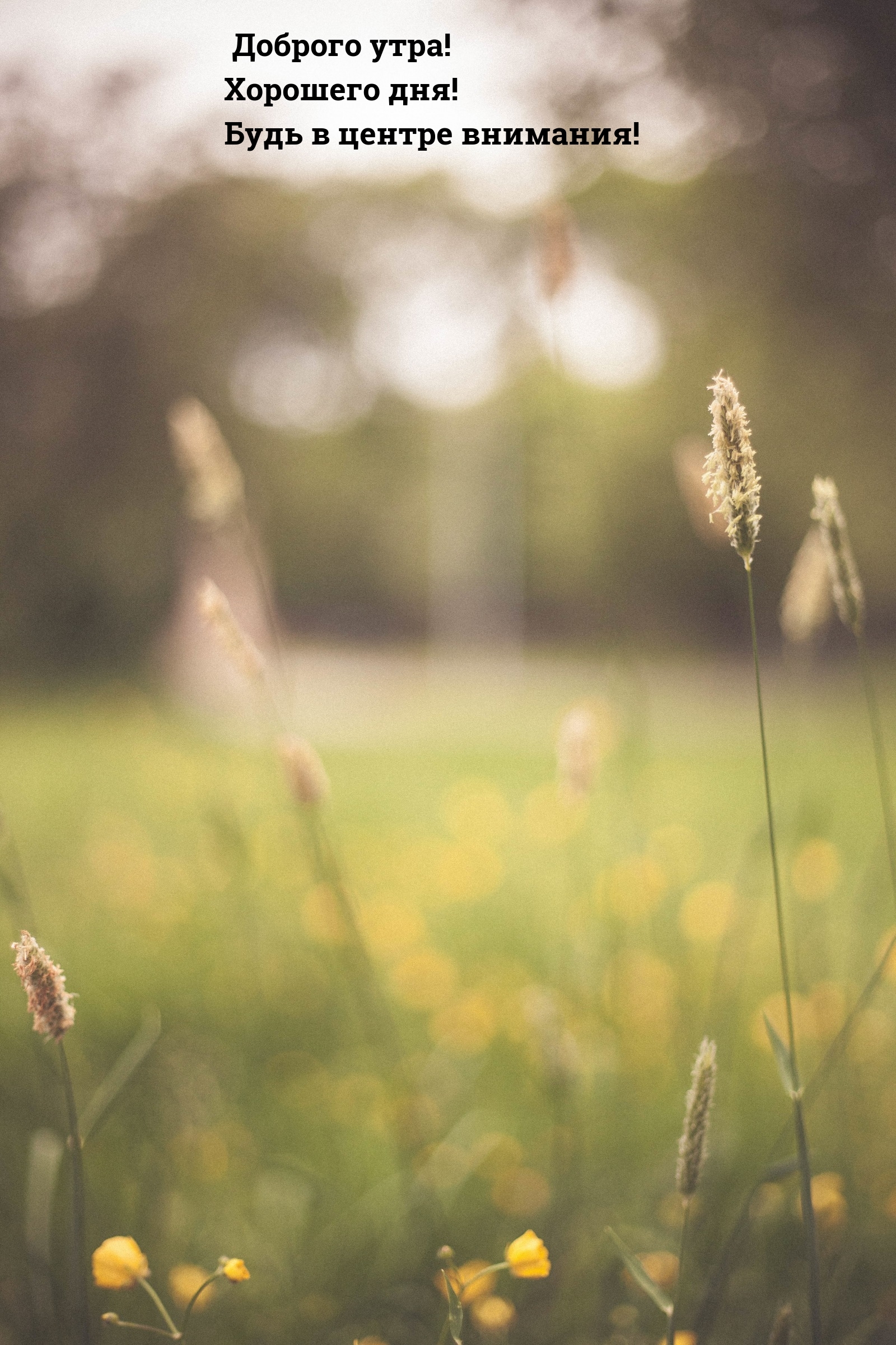 Доброго утра! Хорошего дня! Будь в центре внимания!