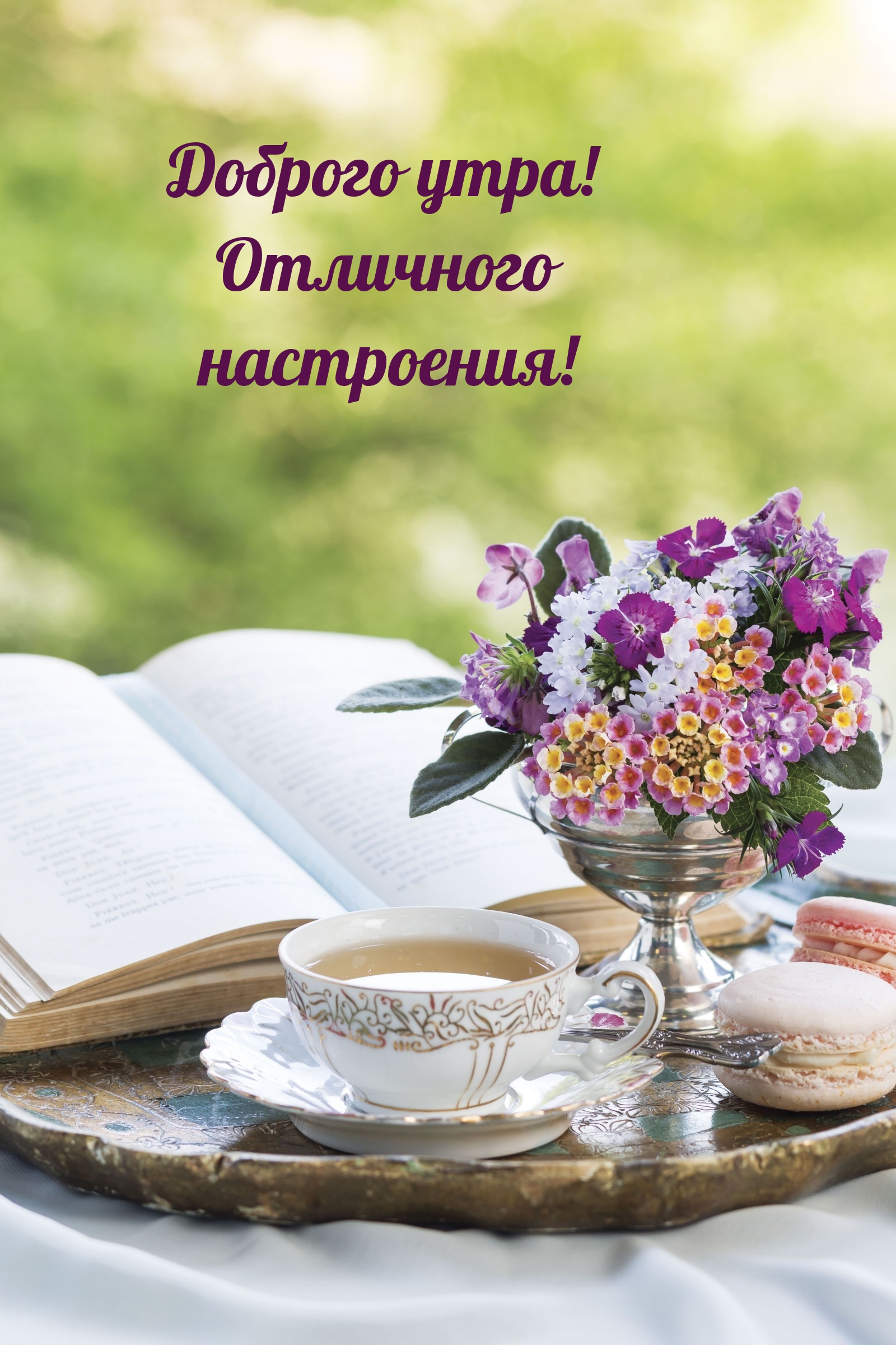 Доброго утра! Отличного настроения!