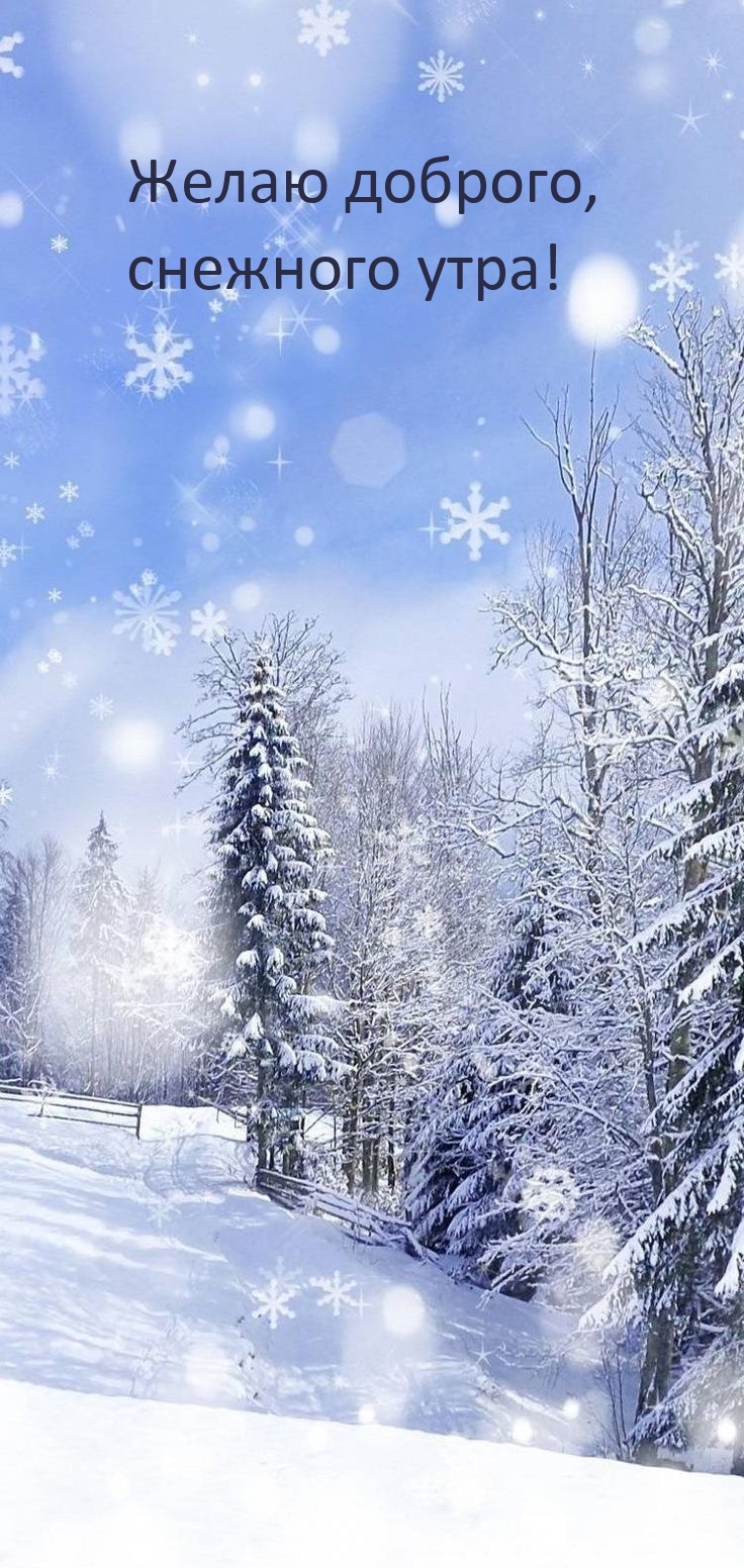 Желаю доброго, снежного утра!