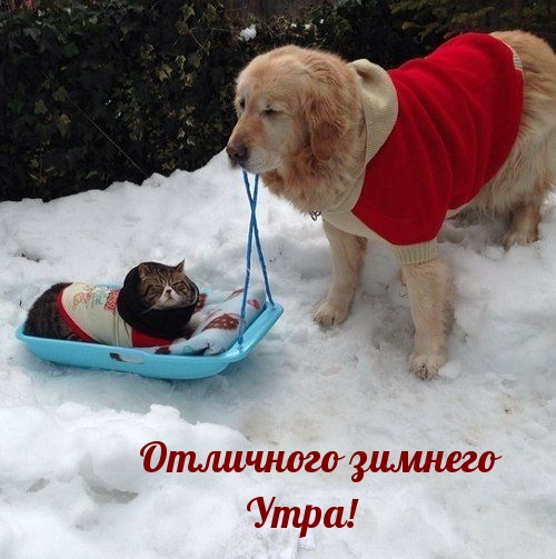 Отличного зимнего утра!