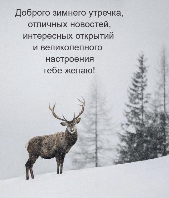 Доброго зимнего утречка, отличных новостей