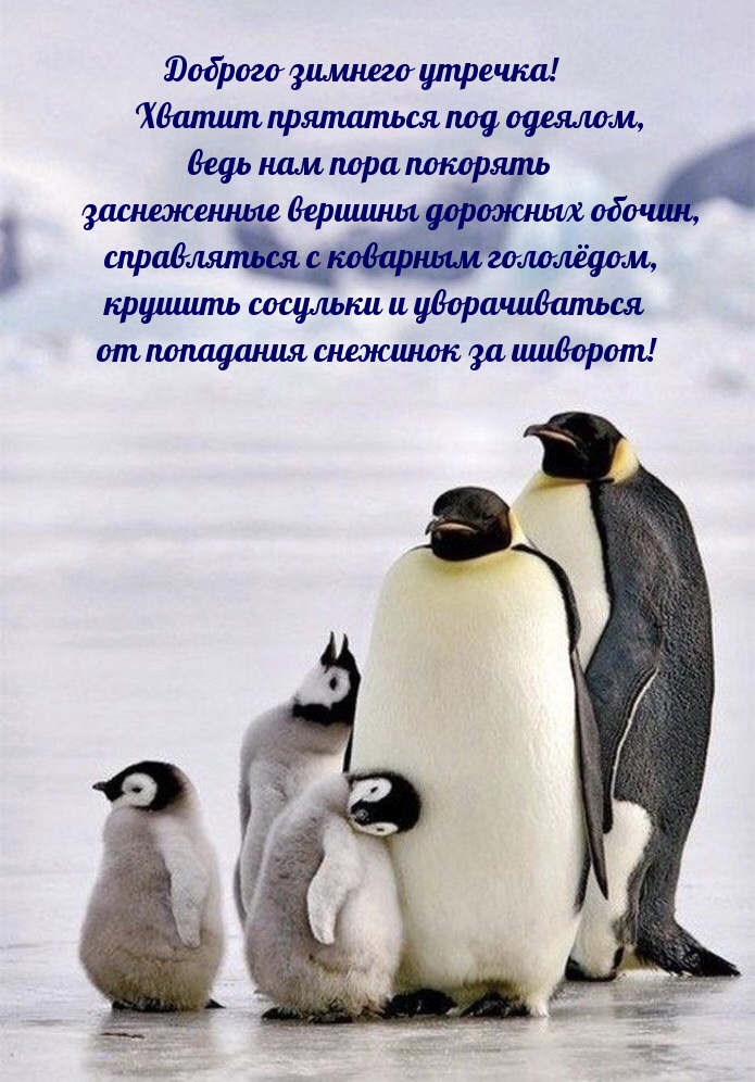 Доброго зимнего утречка! Хватит прятаться под одеялом