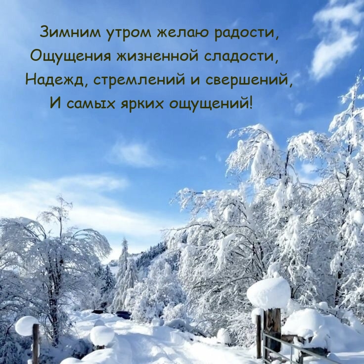 Зимним утром желаю радости, ощущения жизненной сладости