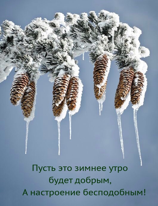 Пусть это зимнее утро будет добрым, а настроение бесподобным!
