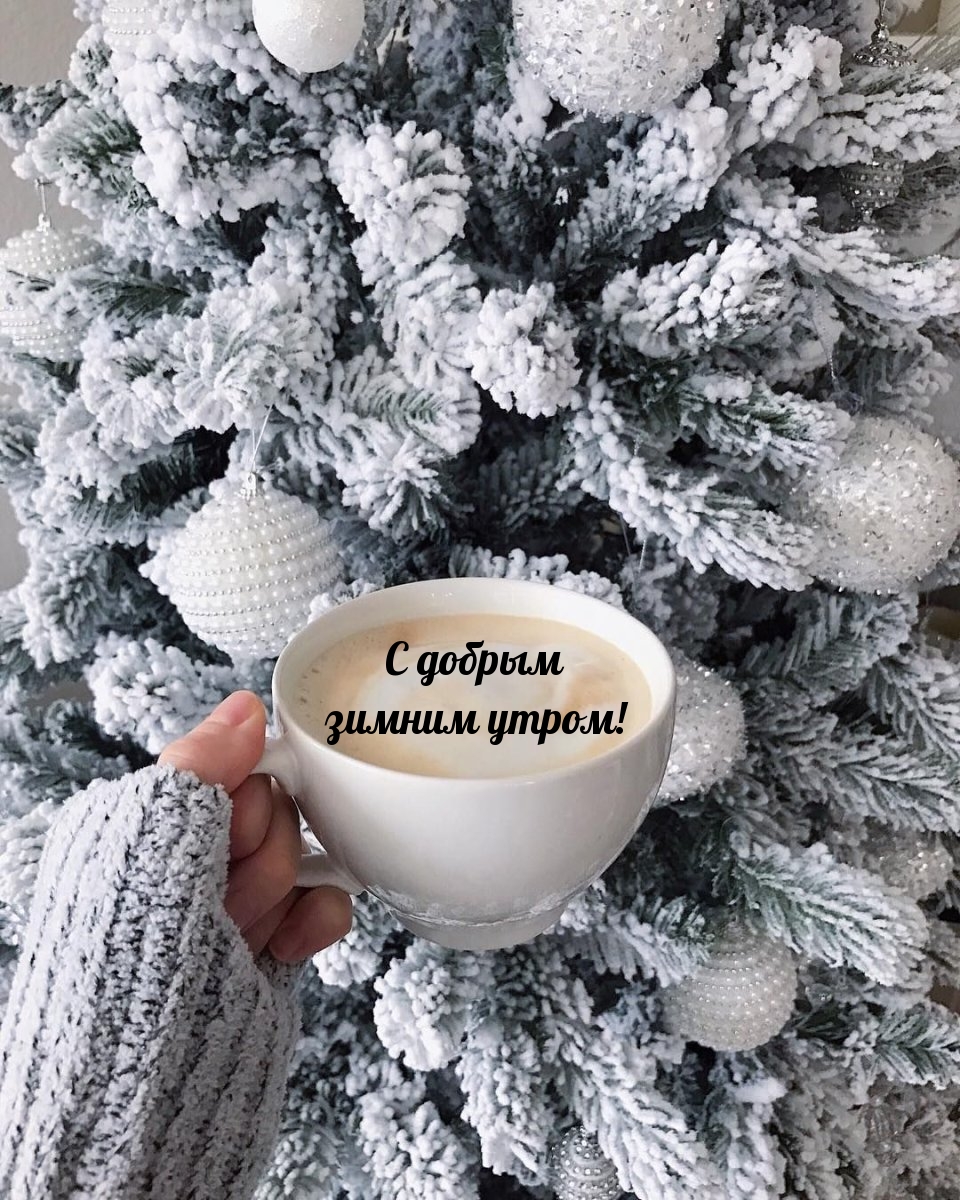 С добрым зимним утром!
