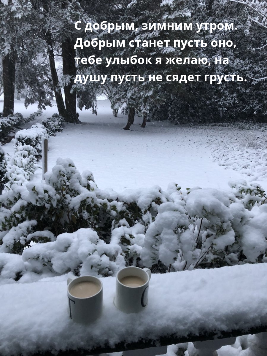 С добрым, зимним утром. Добрым станет пусть оно