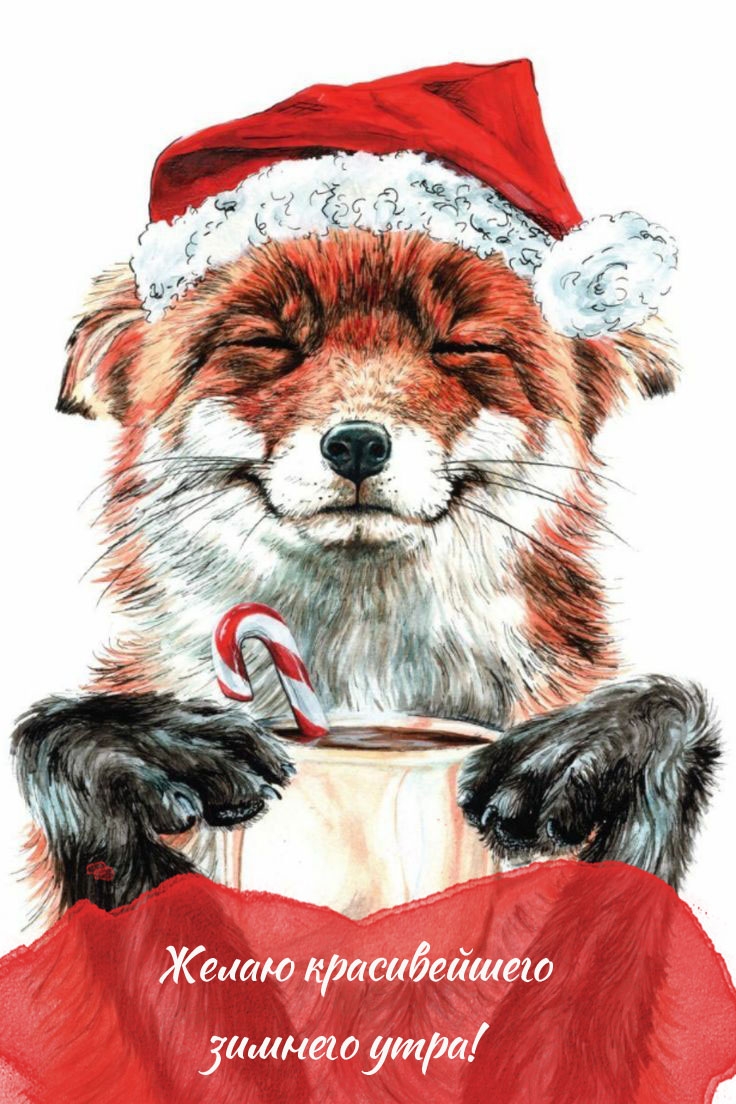 Желаю красивейшего зимнего утра!