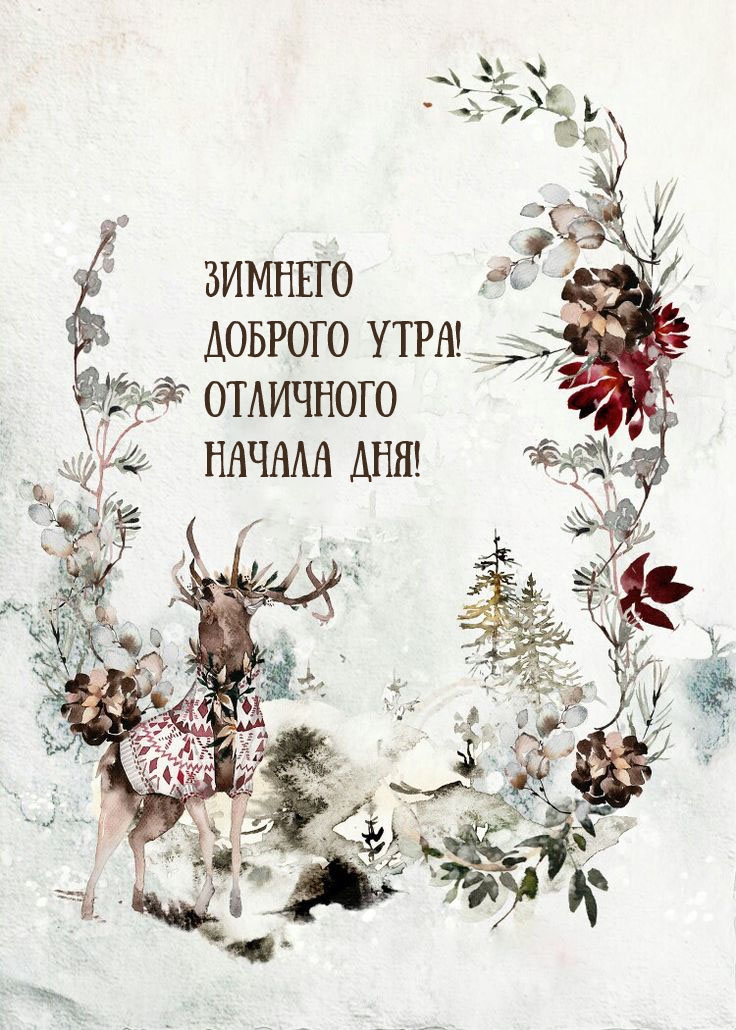 Зимнего доброго утра! Отличного начала дня!  