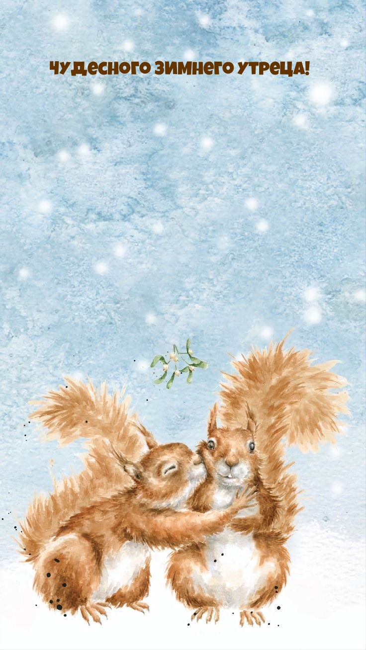 Чудесного зимнего утреца!