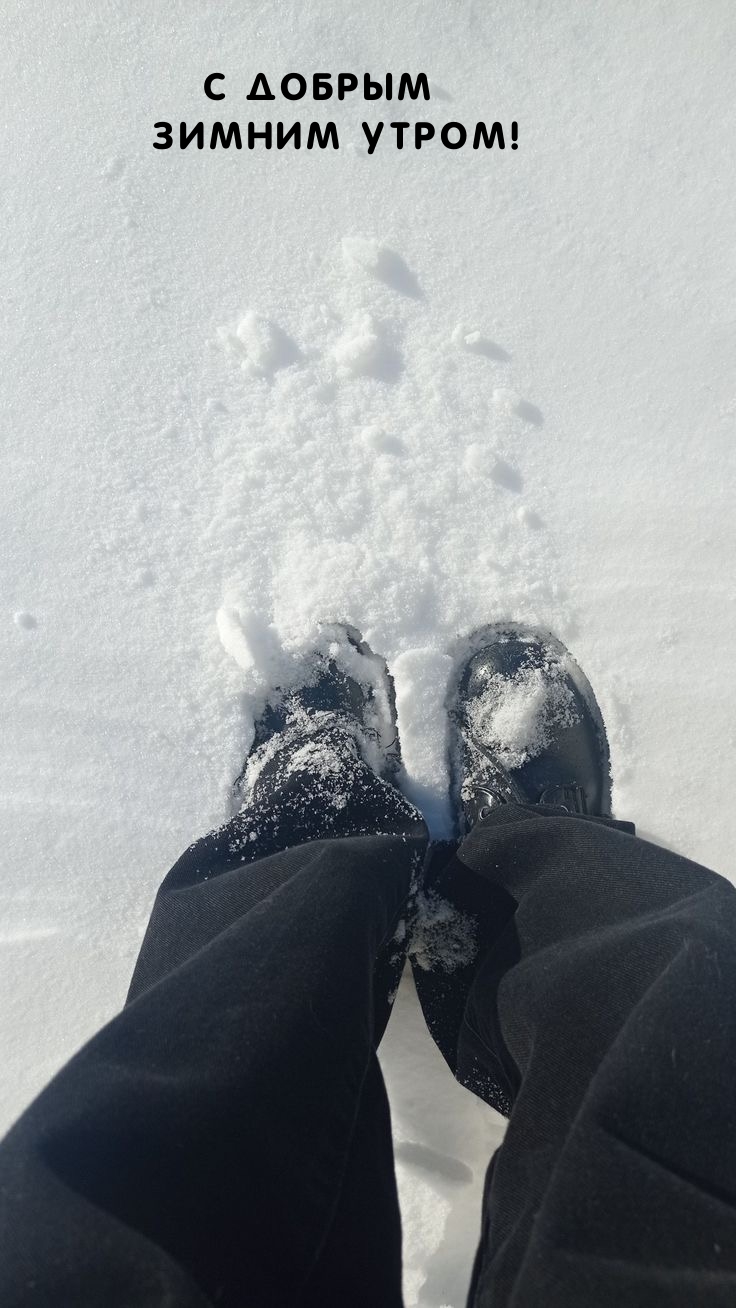 С добрым зимним утром!