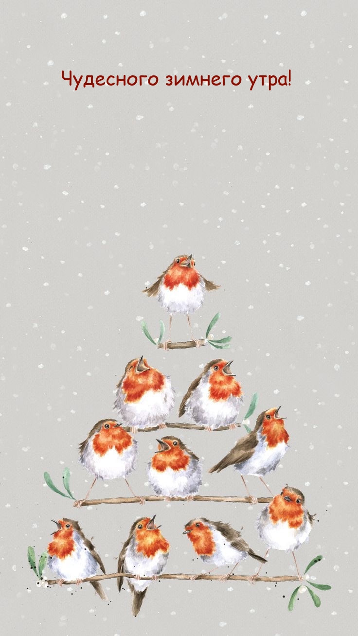 Чудесного зимнего утра!