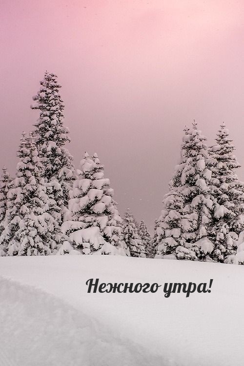 Нежного утра!