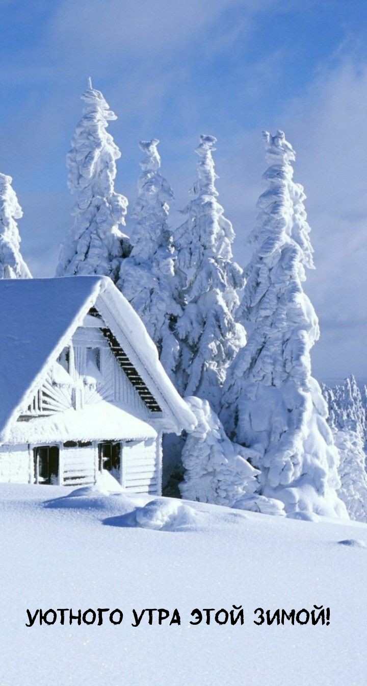 Уютного утра этой зимой!