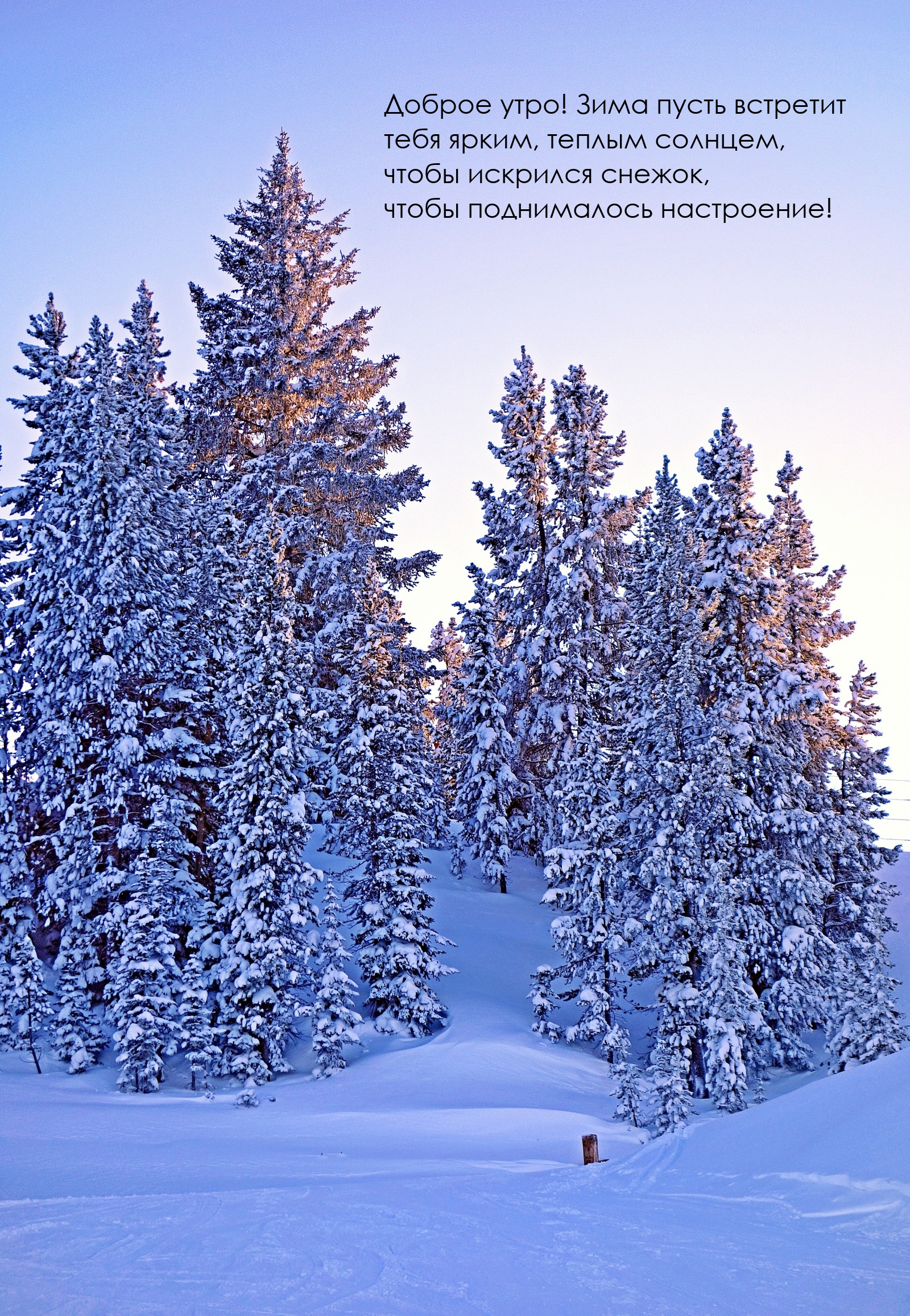 Доброе утро! Зима пусть встретит ярким, теплым солнцем