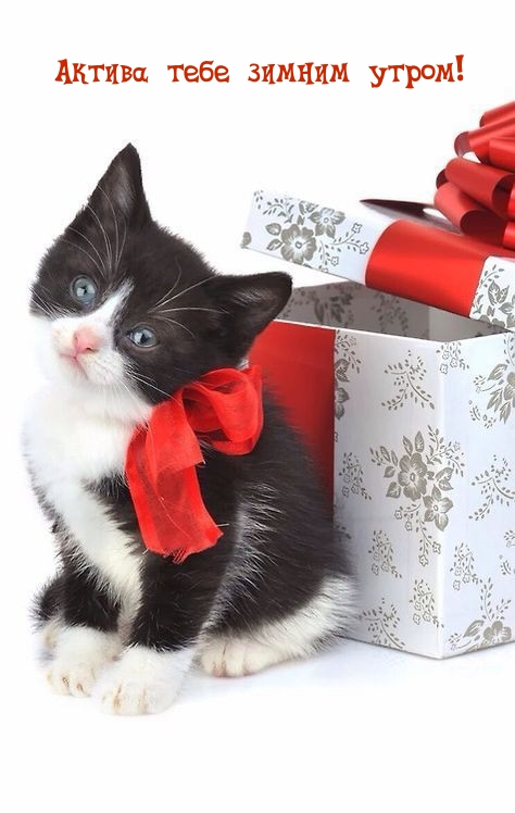 Актива тебе зимним утром!