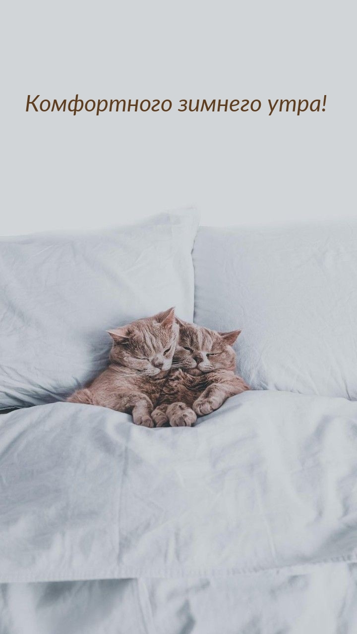 Комфортного зимнего утра!