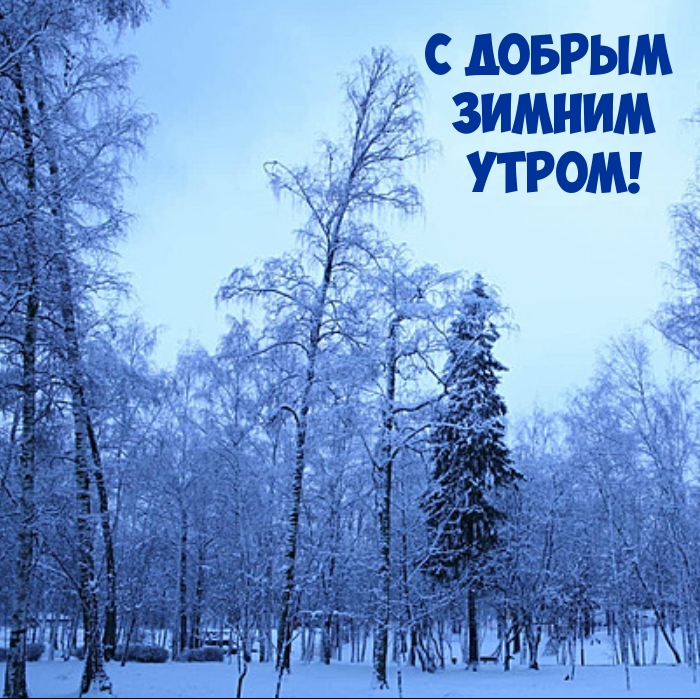 С добрым зимним утром!
