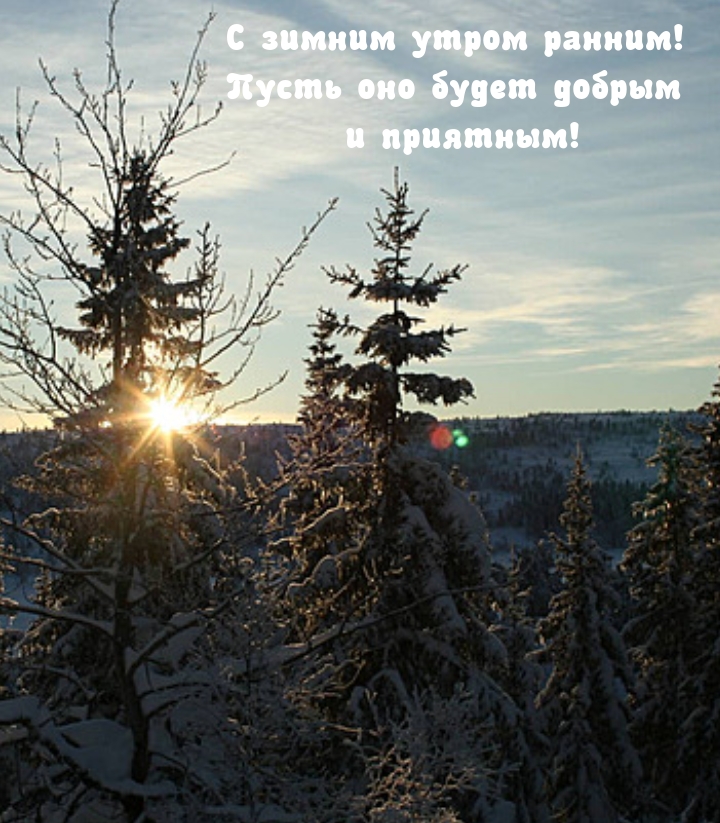 С зимним утром ранним! Пусть оно будет добрым и приятным!