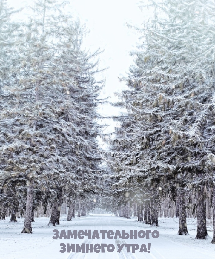 Замечательного зимнего утра!