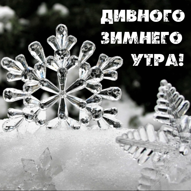 Дивного зимнего утра!