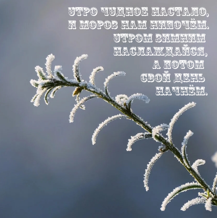 Утро чудное настало, и мороз нам нипочём. Утром наслаждайся