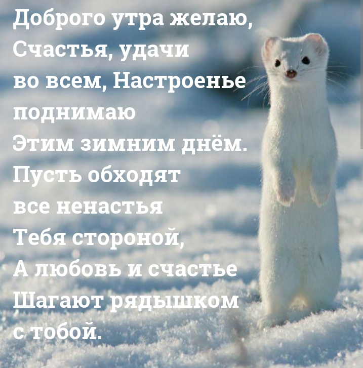 Доброго утра желаю, счастья, удачи во всем