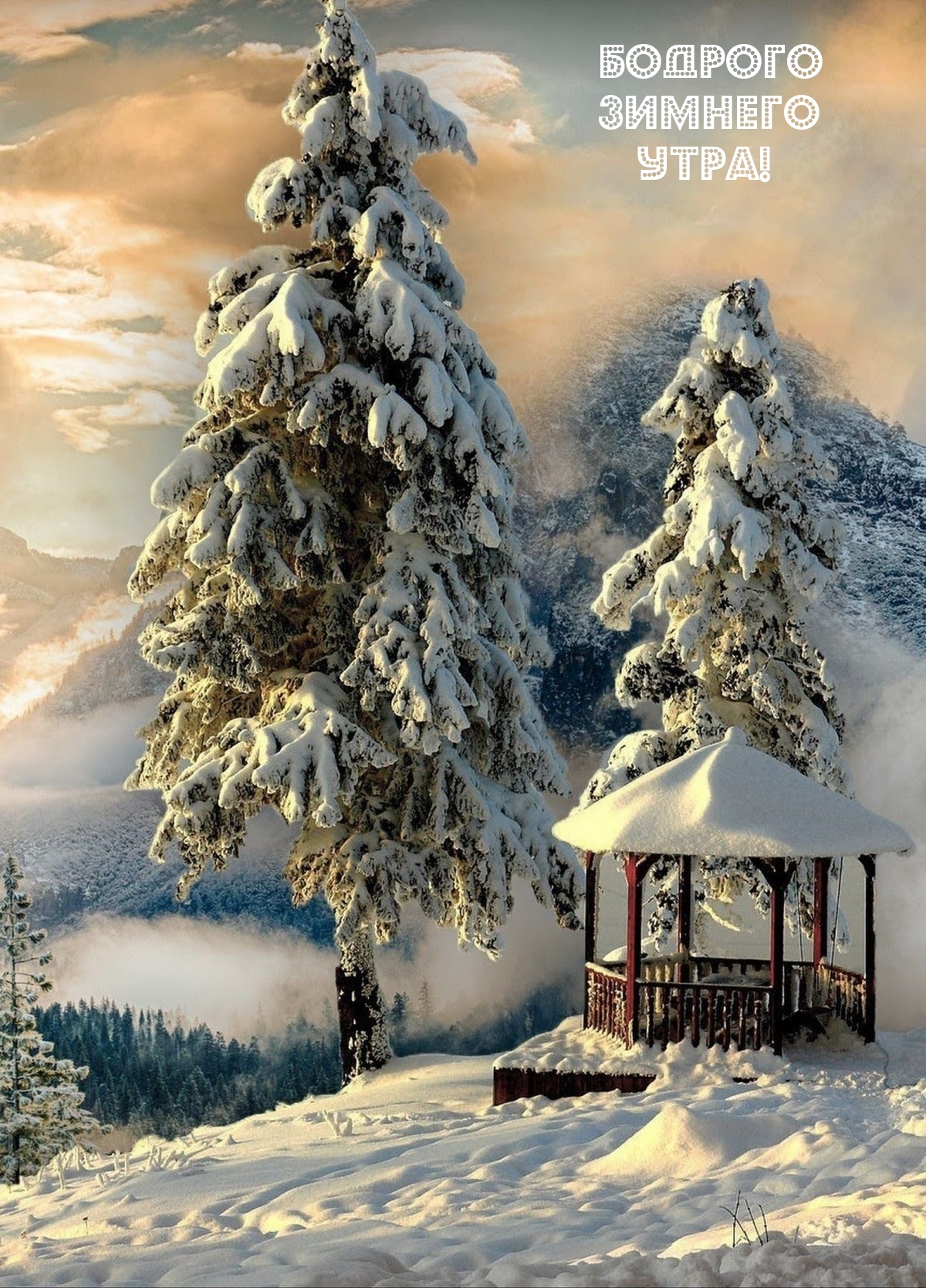 Бодрого зимнего утра!