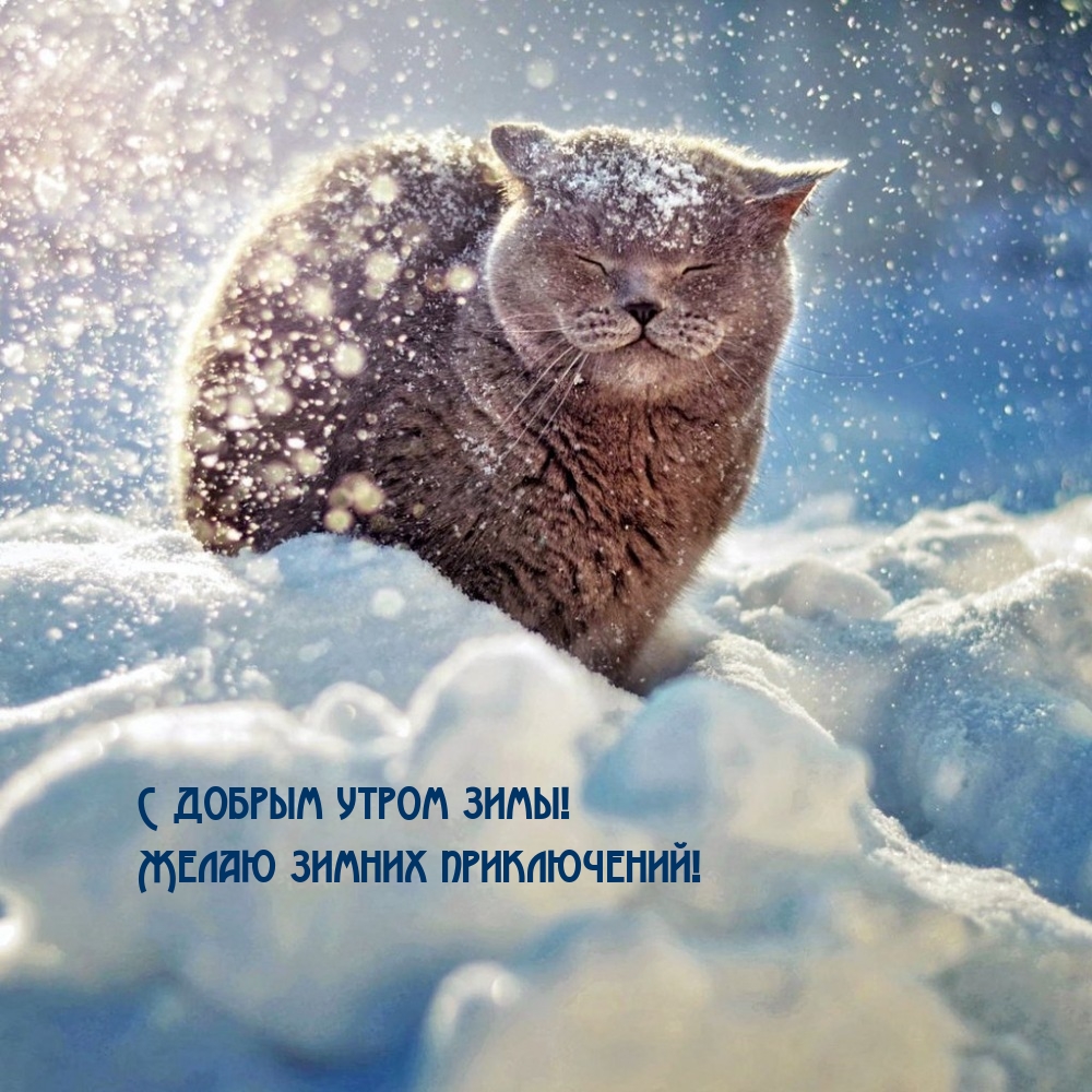 С добрым утром зимы! Желаю зимних приключений!