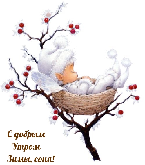 С добрым Утром Зимы, соня!