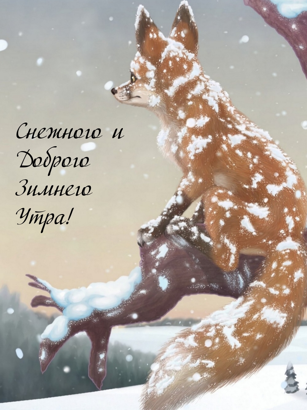 Снежного и Доброго Зимнего Утра!