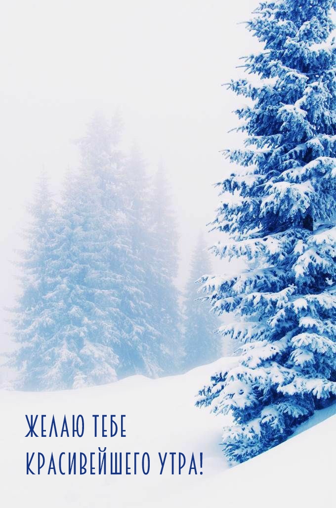 Желаю тебе красивейшего утра зимы!