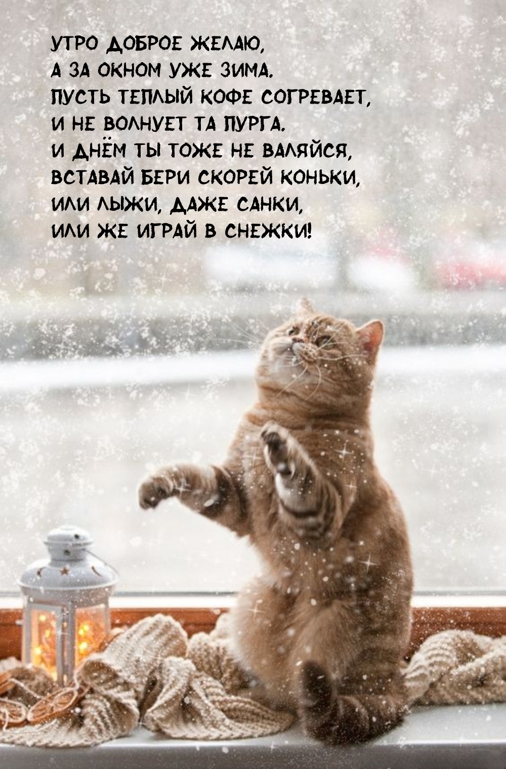 Утро доброе желаю, а за окном уже зима. Пусть теплый кофе согревает