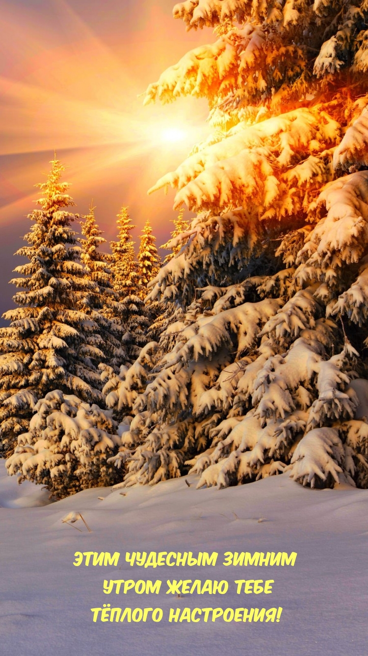 Этим чудесным зимним утром желаю тебе тёплого настроения!