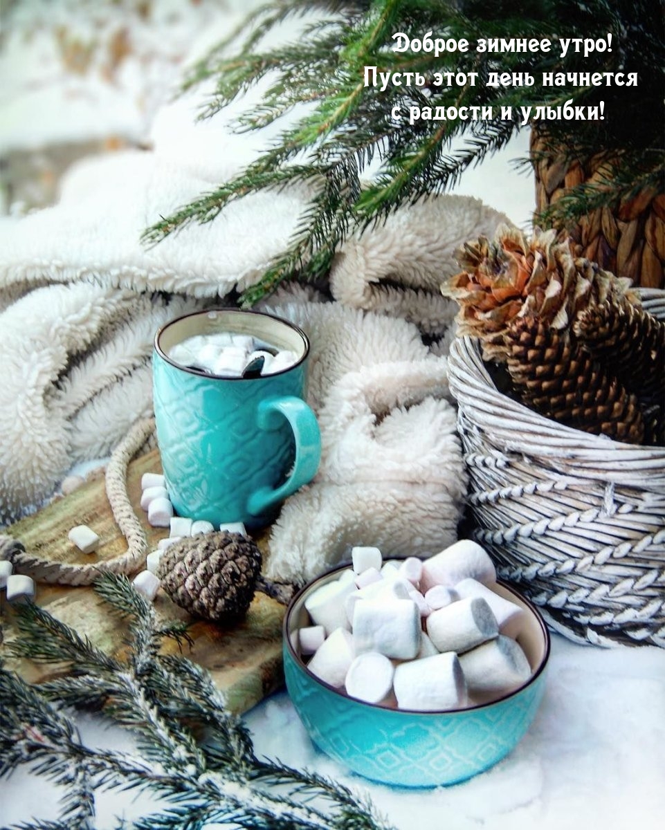 Доброе зимнее утро! Пусть этот день начнется с радости и улыбки!