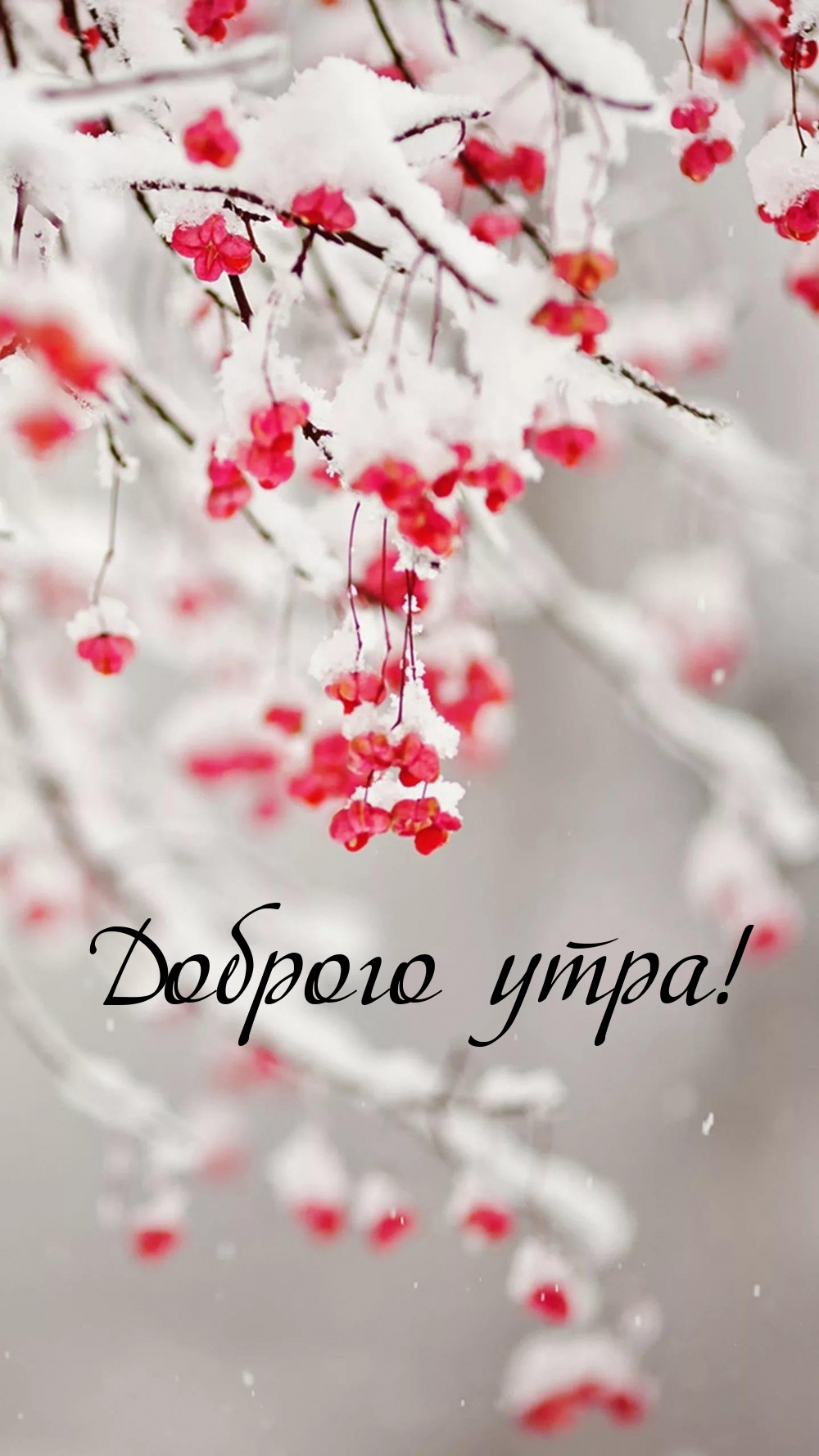 Доброго утра!