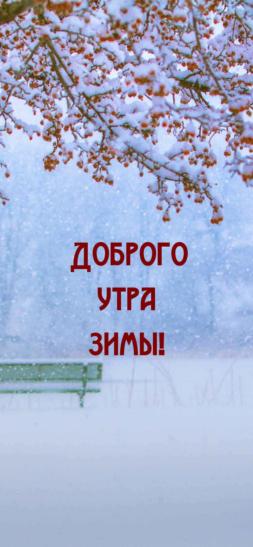 Доброго утра зимы!