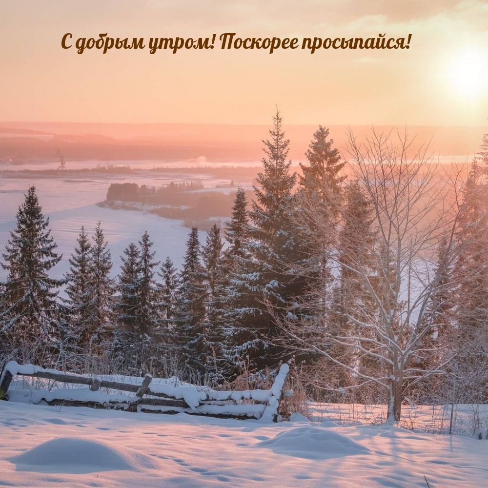 С добрым утром! Поскорее просыпайся!
