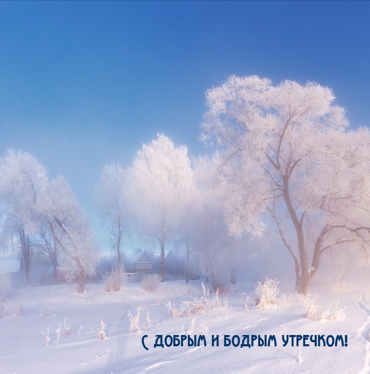 С добрым и бодрым утречком!