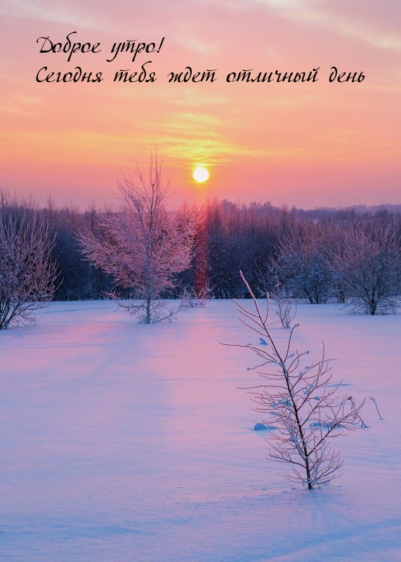 Доброе утро! Сегодня тебя ждет отличный день