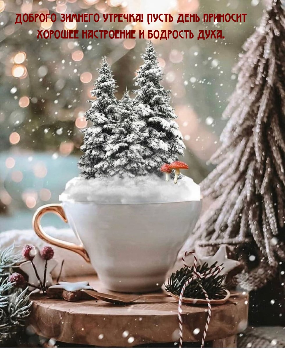 Доброго зимнего утречка! Пусть день приносит хорошее настроение