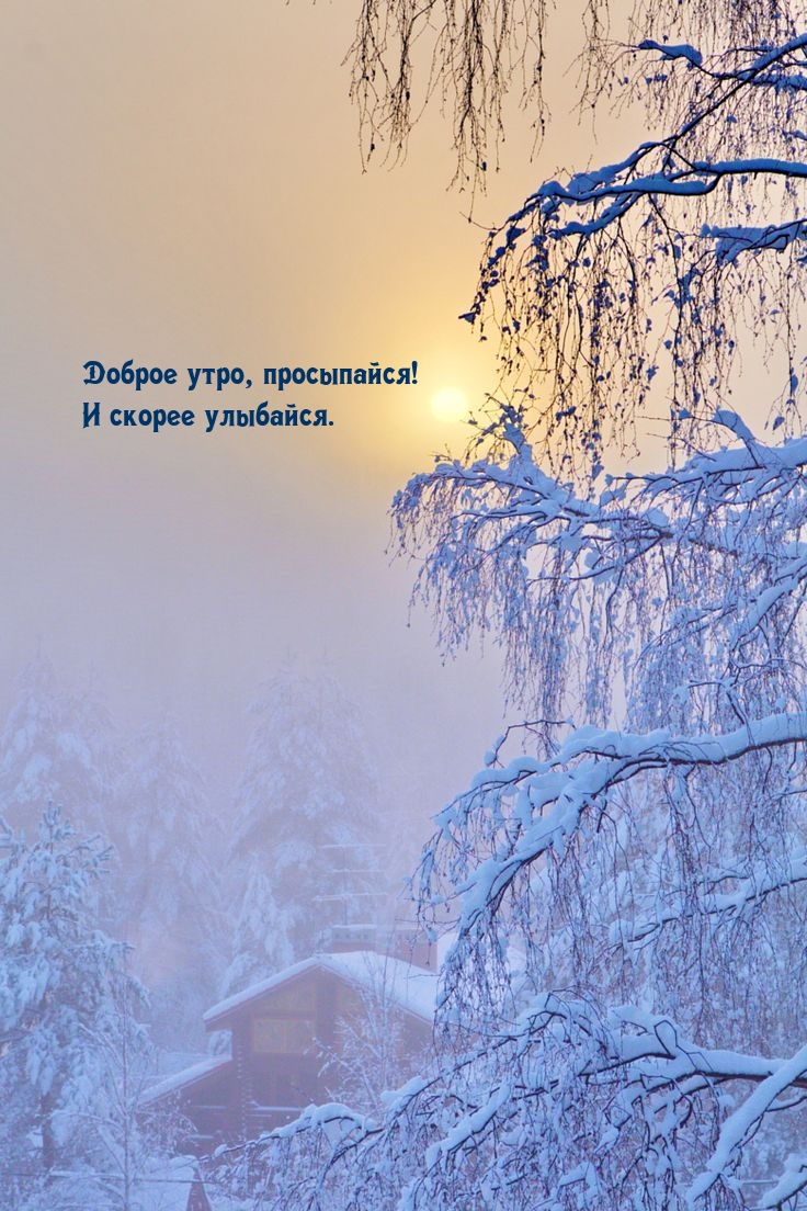 Доброе утро, просыпайся! И скорее улыбайся. 