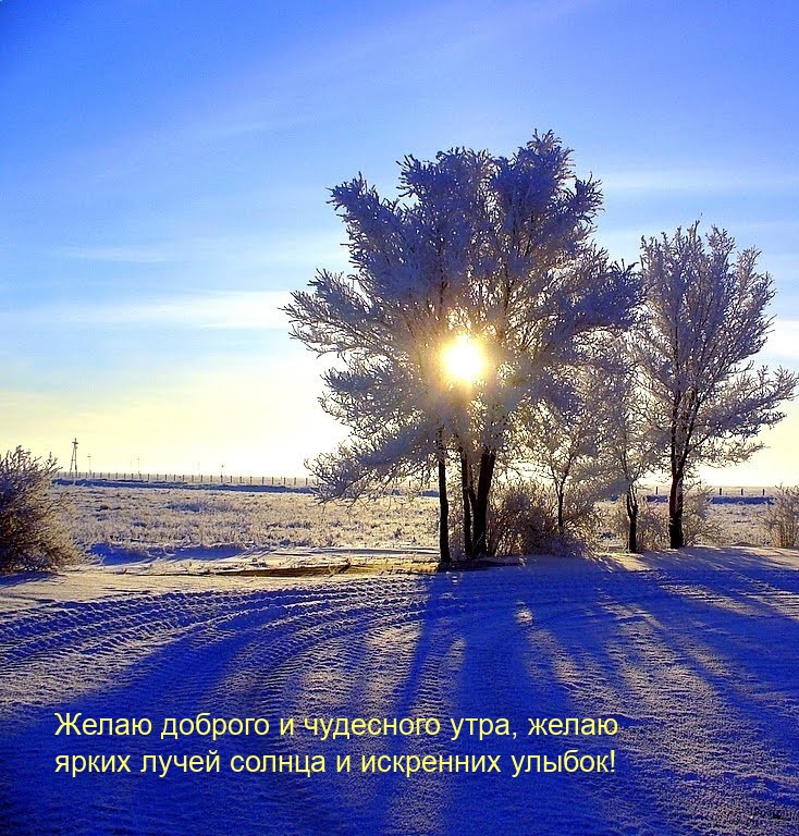 Доброго и чудесного утра, ярких лучей солнца и искренних улыбок!