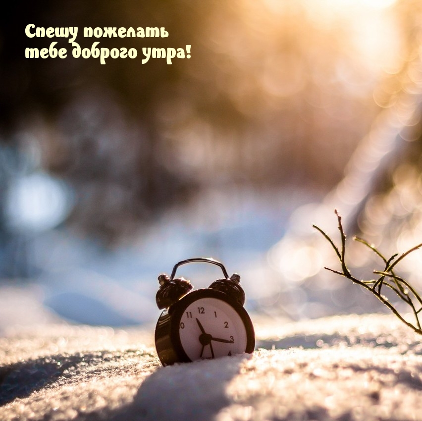 Спешу пожелать тебе доброго утра!