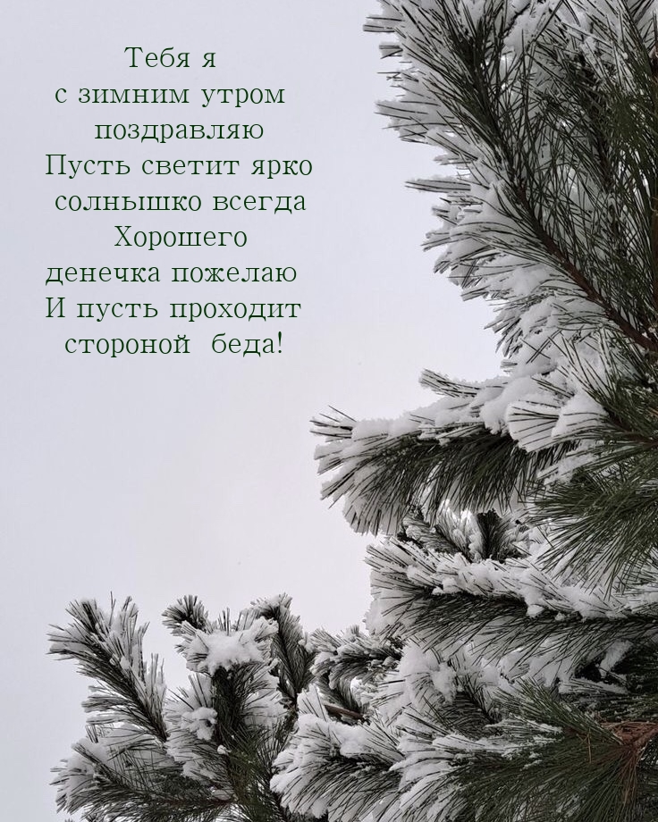 С зимним утром поздравляю пусть светит ярко солнышко всегда 
